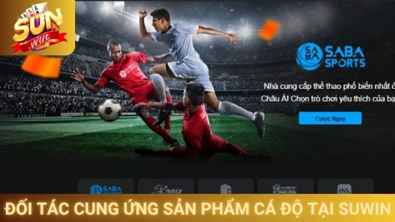Cá Cược Thể Thao Sunwin - Đặt Cược Cho Hàng Trăm Môn Thể Thao 2 Đối tác cung ứng sản phẩm cá độ tại Suwin