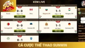 Cá Cược Thể Thao Sunwin