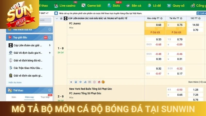 Cá Độ Bóng Đá Tại Sunwin - Trải Nghiệm An Toàn Và Hợp Pháp 1 Mô tả bộ môn cá độ bóng đá tại Sunwin