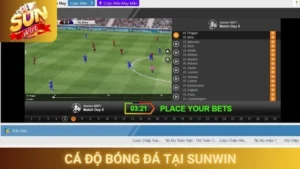 Cá Độ Bóng Đá Tại Sunwin