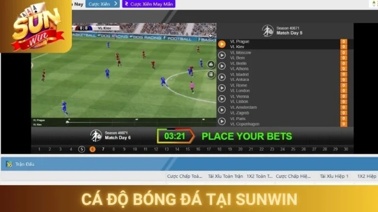 Cá Độ Bóng Đá Tại Sunwin