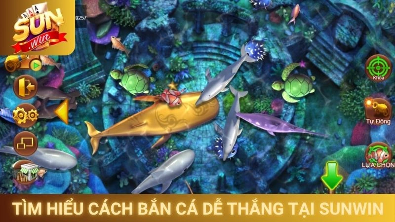 Cách Bắn Cá Dễ Thắng - Mẹo Chơi Từ Các Cao Thủ 1 Tìm hiểu cách bắn cá dễ thắng tại Sunwin