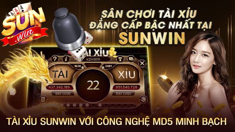 Trải nghiệm tài xỉu Sunwin với công nghệ MD5 minh bạch Trải nghiệm tài xỉu Sunwin với công nghệ MD5 minh bạch